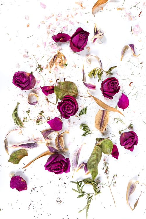 Preview: Assorted Dried Flowers From Gift Bouquet Scattered On White