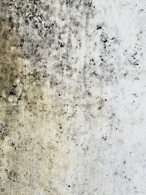 Preview: Aged Rustic Stone Wall Texture Background