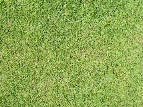 Preview: Abstract On Little Grass Background