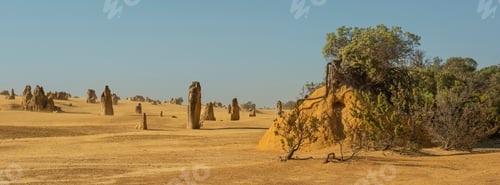 Preview: Pinnacles Limestone Formations Within Nambung National Park Western Australia
