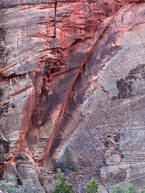 Preview: A Red Rock Face In Zion, Usa.