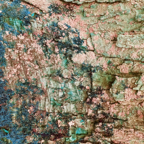 Preview: Aged Weathered Old Wood, Tree Bark Texture Background