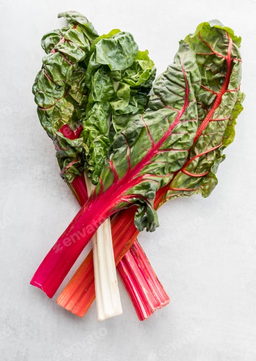 Preview: Top Down View Of Four Rainbow Swiss Chard Leaves.