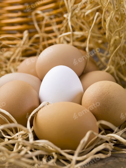 Preview: Close-Up Shot Of White Egg In Between Of Brown Eggs.