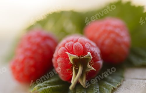 Preview: Raspberry