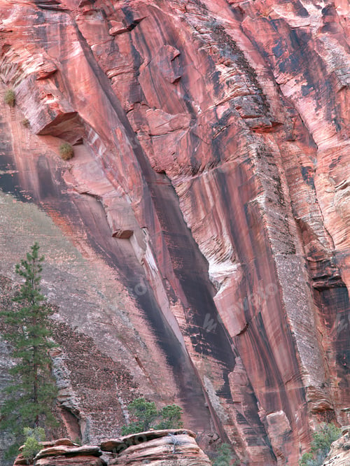Preview: A Big Red Rock Face In Zion, Usa.