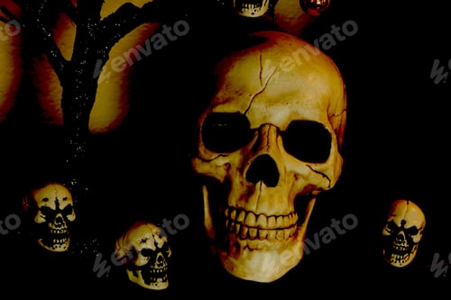 Preview: Halloween Skulls, Small And Large Decorations For The Holiday