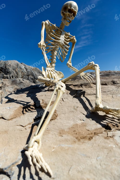 Preview: Skeleton Sitting On Rocks In The Desert With A Beautiful Blue Sky