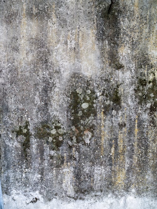 Preview: High Definition Photograph Of A Ancient Worn Wall In Italy