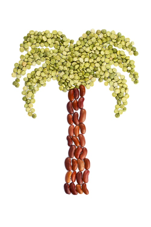 Preview: Portrait Of A Tree Made Up Of Red And Green Beans Isolated On A White Background