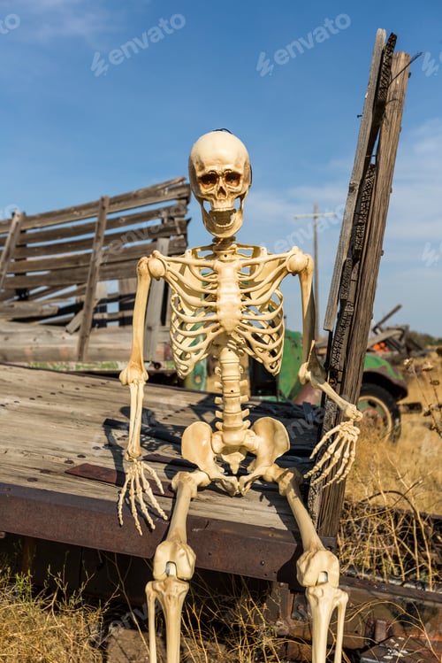 Preview: Skeleton Sitting On An Old Truck Bed In A Dead Grass Field