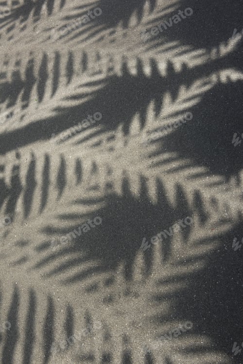 Preview: Palm Tree Shadow Texture Background