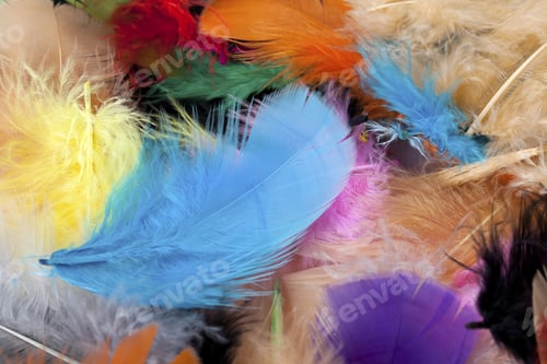 Preview: Pile Of Feathers With Different Colors.