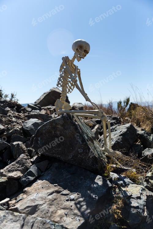 Preview: Skeleton Sitting On Rocks In The Desert With A Beautiful Blue Sky