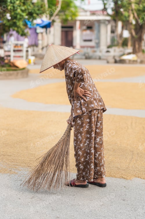 Preview: Local Woman Tending To The Grains Of The Rice Harvest Drying On The Ground. Near The Vung Tram Pier