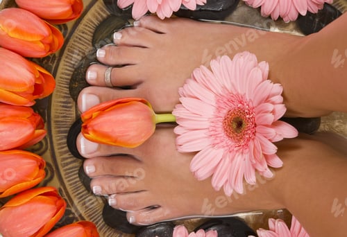 Preview: Spa Treatment With Beautiful Elegant Tulips And Gerberas