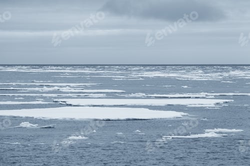 Preview: Antarctic Ices And Majestic Glaciers