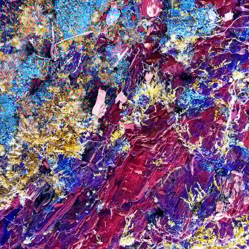 Preview: Abstract Nature Scene with Blue and Red Moss