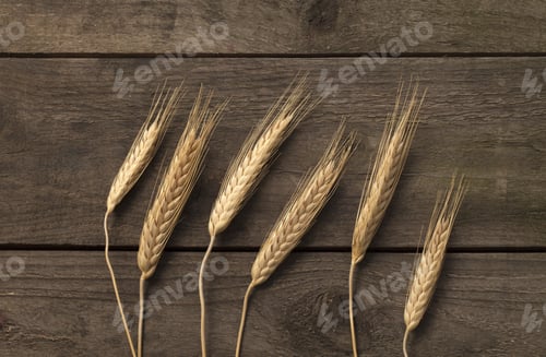 Preview: Image Of Dried Rye Ears Isolated On A Wooden Plank