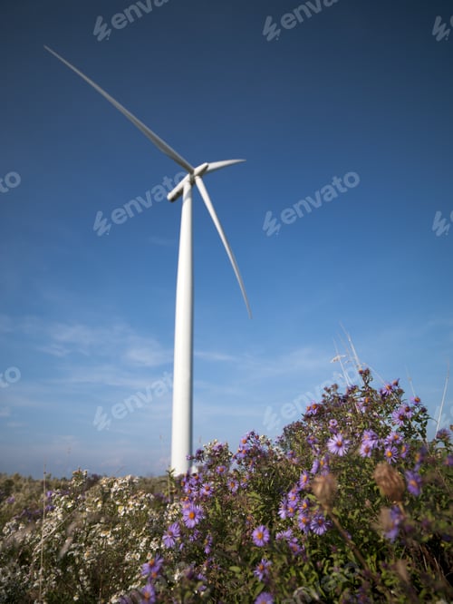 Preview: Wind Power Generation