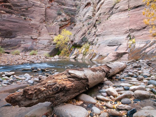 Preview: Water Collecting In A Little Pool Close To A Rock Face In Zion, Usa.