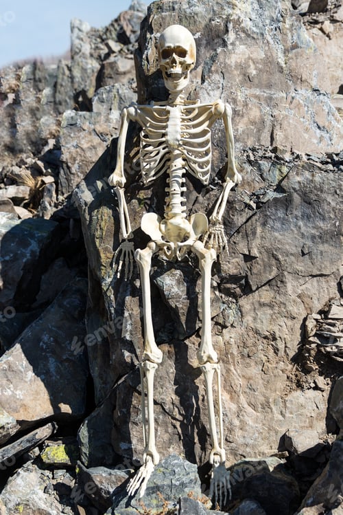 Preview: Skeleton Standing Against Rocks In The Desert