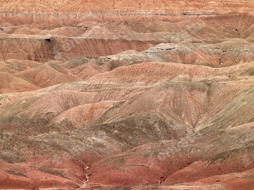 Preview: A Close-Up Portrait Of A Dry Cliff On The Meadow