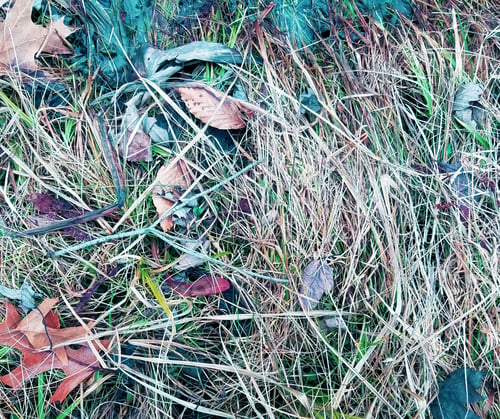 Preview: Dry Grass And Leaves, Fall Colors Texture Background