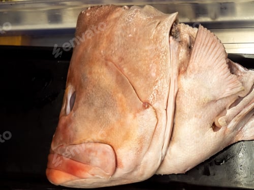Preview: A Grouper Fish Head In A Fish Market Refrigerated Case