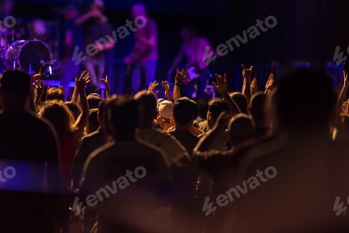 Preview: Fans Watching A Band Perform On Stage