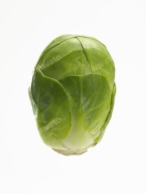 Preview: Single Brussel Sprout On White Background