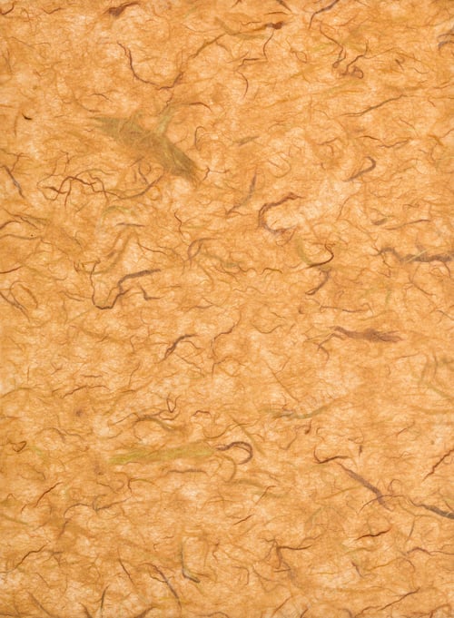 Preview: View Of Orange Wallpaper Isolated On