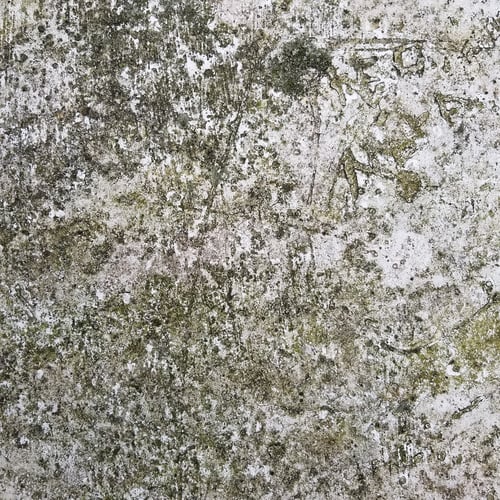 Preview: Aged Rustic Mossy Scratched Rock Texture