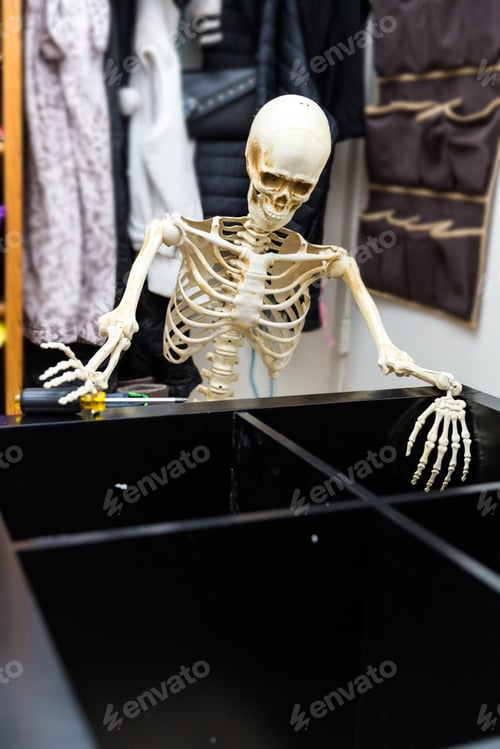 Preview: Bony Skeleton Assembling A Black Wooden Shelf