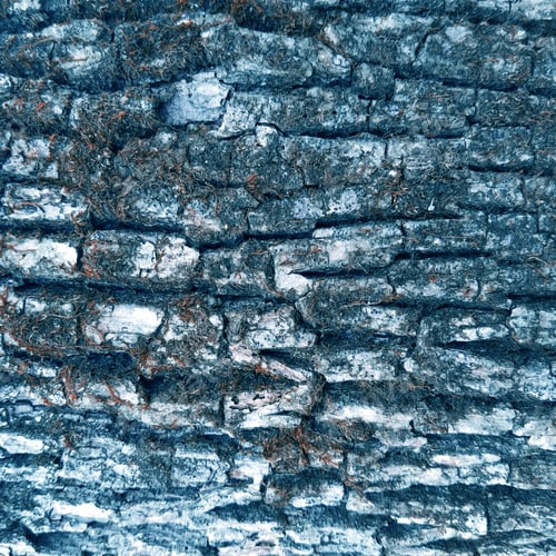 Preview: Old Rustic Stone Or Wooden Bark Blue Texture Background