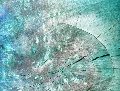 Preview: Aged Rustic Wooden Surface Background Texture