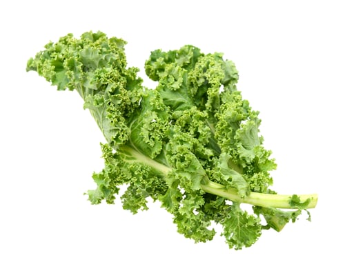 Preview: Kale Isolated White