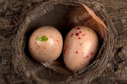 Preview: Two Spotted Eggs On A Nest In A Close-Up Image