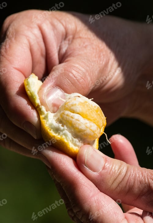 Preview: Human Hands Peeling A Citrus Fruit Against A Dark Background