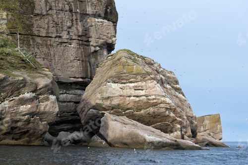 Preview: Bird Watching In Gaspésie Quebec