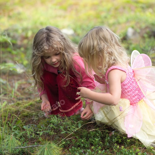 Preview: Two Young Girls Picking Flowers In The Wilderness,