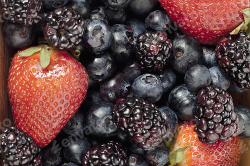 Vista previa: Cropped Image Of A Group Of Berries Isolated With Each Other