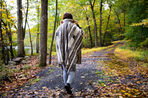 Preview: Girl Hiking At Fall Inside The Forest
