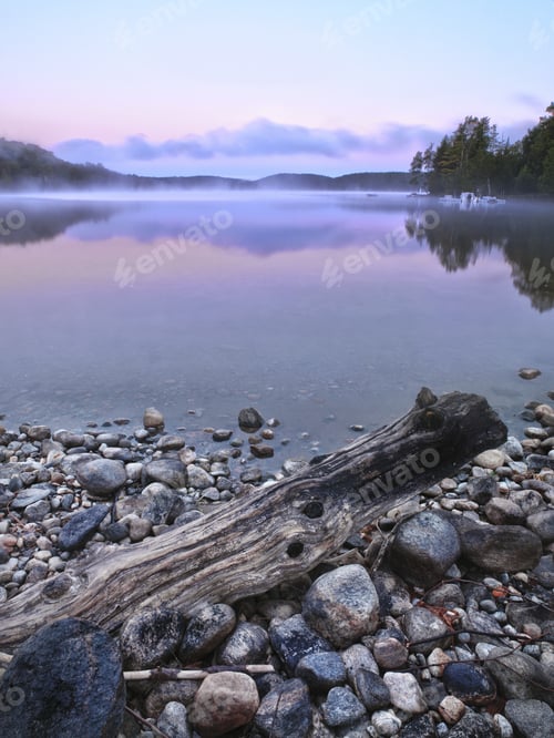 Preview: Driftwood Washed Up On A Rock Beach In Haliburton, Ontario,