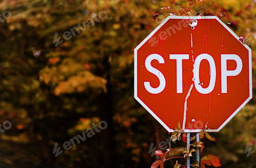 Preview: Stop Sign
