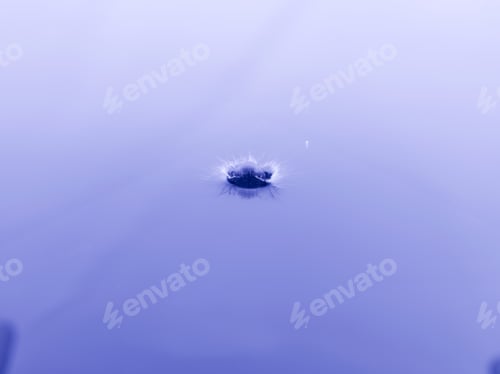 Preview: Close Up Water Droplet Affect The Surface, Forming Rings On The Surface And Making A Perfect