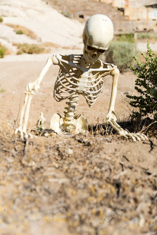 Preview: Skeleton Crawling In The Desert Looking For Water