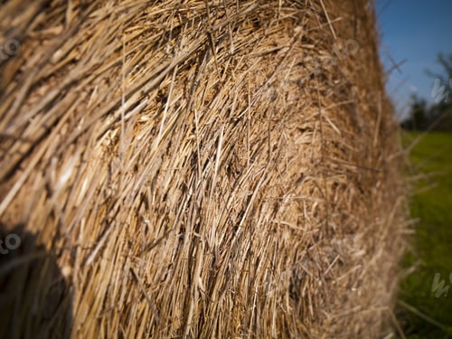 Preview: Farm Fields And Rolled Hay Stacks