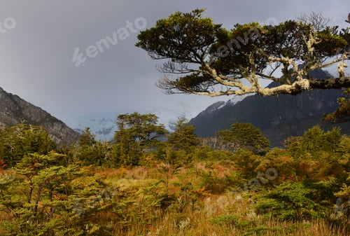 Preview: Landscapes Of The Darwin Mountain Range, Parry Fjord, Chilean Patagonia. Inospito And Hostile
