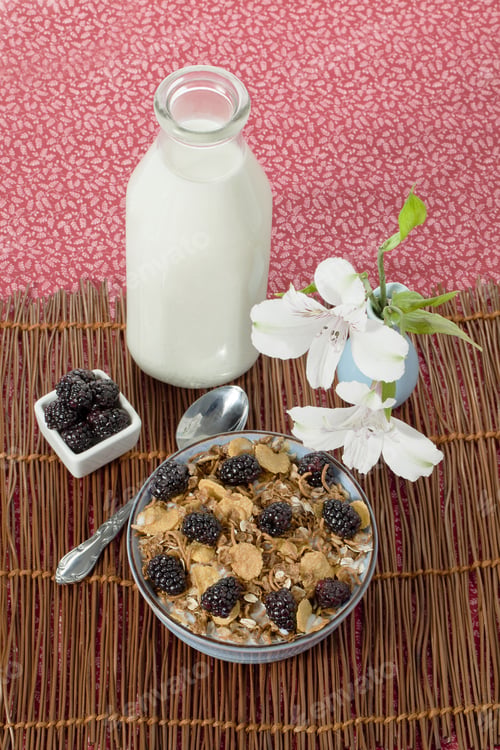 Preview: Breakfast Cereal
